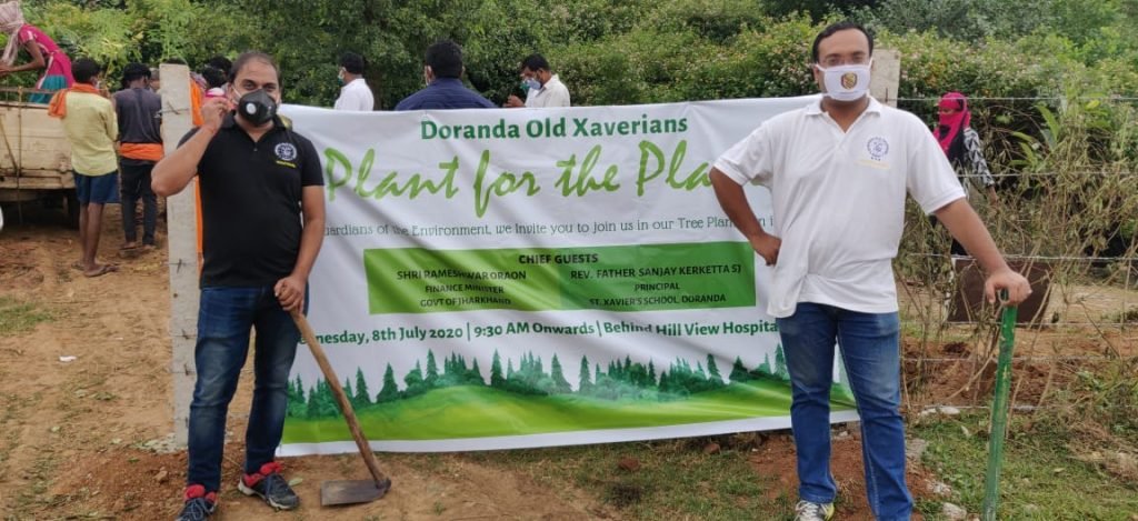 DOX Tree Plantation Drive1