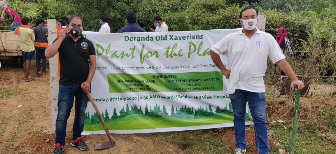 DOX Tree Plantation Drive1